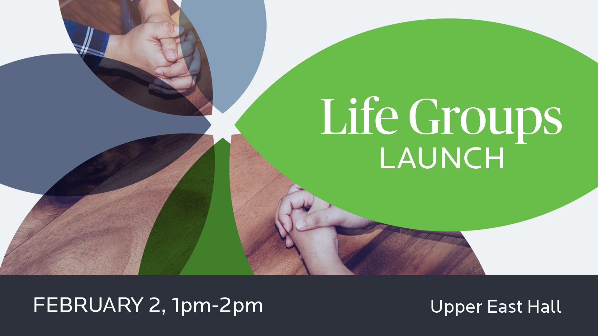 Life Groups Launch